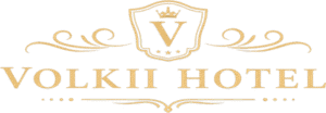 volkilogo